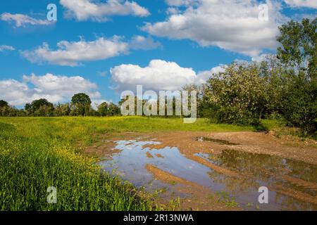 Ländliche Landschaft von Ackerfeldern mit Wolken Stockfoto