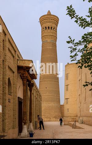 Das große Minarett der Kalon-Türme ragt über die engen Gassen von bukhara usbekistan Stockfoto