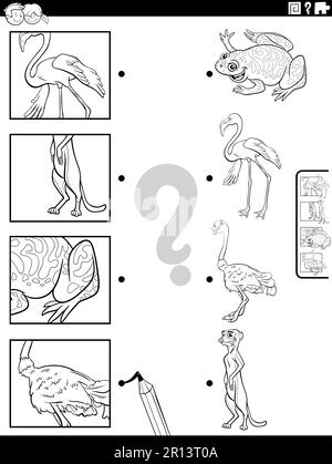 Schwarz-Weiß-Cartoon Illustration eines pädagogischen Spiels mit Tiercharakteren und Bildern Ausmalseite Stock Vektor