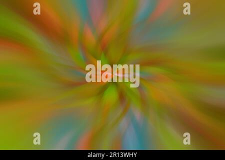 Senf, grüner, gelber Hintergrund, Tapete mit Blumenform, Muster. Stockfoto