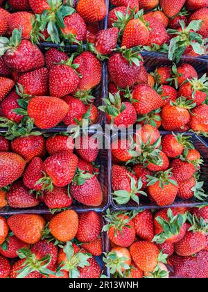 Viele verschiedene Erdbeeren in Plastikschalen im Supermarkt, Draufsicht. Stockfoto