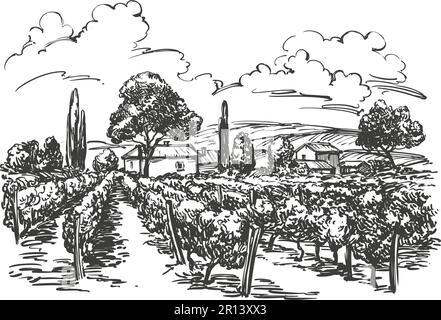 Sommerlandschaft, Provence, Weinrebe, Weinberg, Hand gezeichnete Vektor-Illustration realistische Skizze Stock Vektor