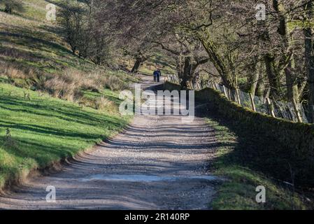 Ein Paar, das auf einer Landstraße mit langen Schatten spaziert, in der Nähe von Chatswoth, Derbyshire, England Stockfoto