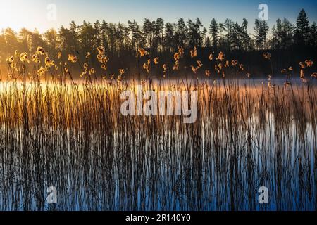 Die ersten Strahlen der aufgehenden Sonne über dem See Gowidlińskie. Kaschubien, Polen Stockfoto