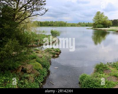 Hardwick Hall Country Park, Sedgefield, Co Durham, Großbritannien - 11. Mai 2023 : Heller Frühlingsnachmittag im Park. Stockfoto