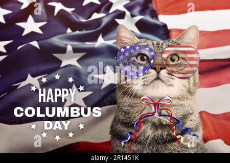 Einen Schönen Kolumbus-Tag. Süße Katze mit Sonnenbrille, Schleife und amerikanischer Flagge im Hintergrund Stockfoto