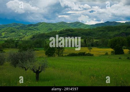 Blick auf die grüne Landschaft in Umbrien am bewölkten Frühlingstag in Italien Stockfoto