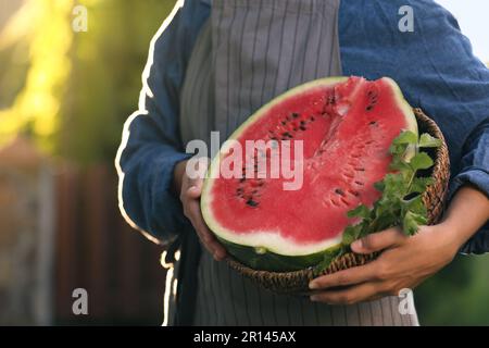 Eine Frau, die die Hälfte der köstlichen reifen Wassermelone in einem Korb mit Pfefferminz im Freien hält, Nahaufnahme. Platz für Text Stockfoto