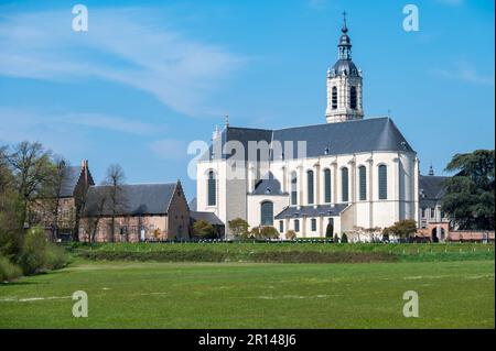 Averbode, Laakdal, Belgien - 21. April 2023 - die weiße Abteikirche auf einem grünen Rasen Stockfoto