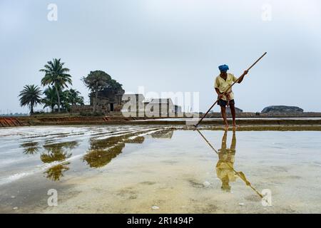 Die Salzarbeiter sind mit der Herstellung von Salz beschäftigt, da die Saison begonnen hat. In Westbengalen wurde die Salzproduktion vor der britischen Invasion begonnen. Stockfoto