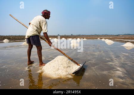 Die Salzarbeiter sind mit der Herstellung von Salz beschäftigt, da die Saison begonnen hat. In Westbengalen wurde die Salzproduktion vor der britischen Invasion begonnen. Stockfoto