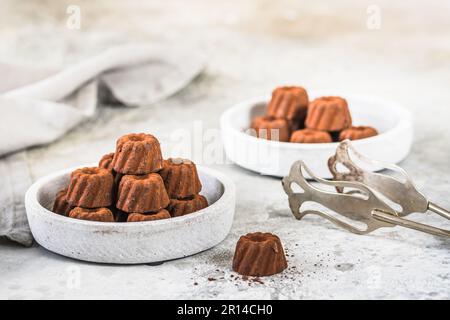 Schokoladenpralinen in Form von kleinen Guglhupf-Törtchen, mit Kakao bestaubt, auf hellgrauem Hintergrund Stockfoto