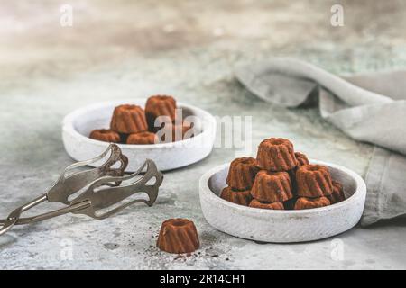 Pralinen aus Schokolade in Form von kleinen Bundt-Kuchen, mit Kakao bestaubt, auf hellgrauem Hintergrund, Kopierraum Stockfoto