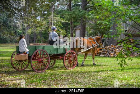 Antique Farm Wagon aus dem 19. Jahrhundert von der historischen Farm in Manteo, NC. Stockfoto