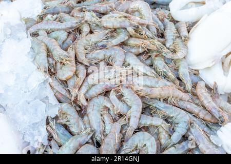 Rohe Garnelen auf dem Straßenmarkt in Ägypten. Stockfoto