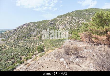 Die alten Ionischen Ruinen von Priene in der Provinz Aydin, Türkei Stockfoto