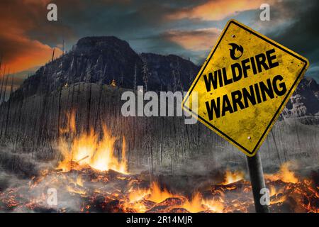 Waldbrandwarnschild vor Waldbrand mit verbrannten Bäumen und Vegetationslandschaft. Schmutzige und abgewinkelte Schilder tragen zum Drama bei. Stockfoto