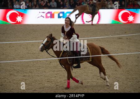 Windsor, Berkshire, Großbritannien. 11. Mai 2023. Trotz des sintflutartigen Regens hat die Vorstellung von Aserbaidschan, Land of Fire bei der Royal Windsor Horse Show die Massen begeistert. Kredit: Maureen McLean/Alamy Live News Stockfoto