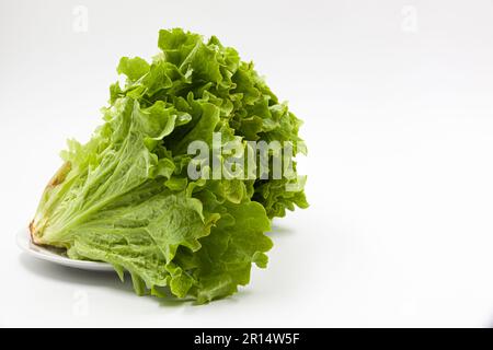 Grüner Salat mit wunderschönen saftigen grünen Blättern auf einem weißen Teller auf weißem Hintergrund. Hintergrund. Foto in hoher Qualität. Stockfoto