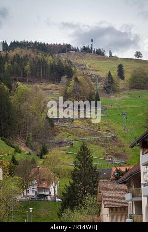 Rodelbahn auf einem Berghang in der Nähe der Stadt Todtnau im Schwarzwald, Deutschland Stockfoto