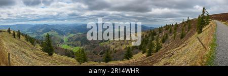 Panoramablick auf den südlichen Teil des Schwarzwalds vom Gipfel des Belchen Stockfoto