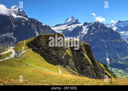 Sommerblick an der Grindelwald-ersten Station über dem Ferienort Grindelwald mit dem Cliff Walk vor dem Hintergrund der Berner Alpen und des Schreckhorn-Gipfels. Stockfoto