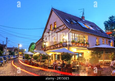 Charmantes Café-Restaurant im Gardos-Viertel Zemun, heute Teil von Belgrad, der Hauptstadt Serbiens. Obwohl die meiste Fußgängerzone, die Kopfsteinpflasterstraße Stockfoto