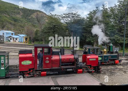 Zug vom Ende der Weltstation, Feuerland, Argentinien Stockfoto