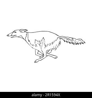Vektorhandzeichnung eines russischen Borzoi-Hundes Stock Vektor