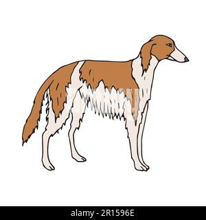 Vektorhandgezeichneter russischer Borzoi-Hund Stock Vektor