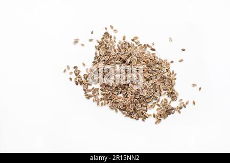 Dillsamen auf weißem Hintergrund isoliert Stockfoto