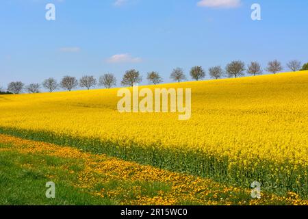 Maulbronn, Baden-Wuettenberg, Deutschland Stockfoto