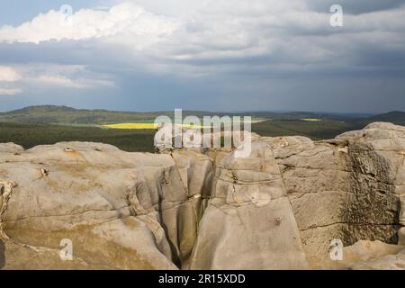 Burgruine Regenstein im Blankenburg-Harz-Gebirge Stockfoto