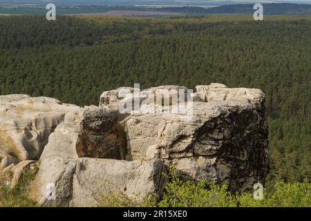 Burgruine Regenstein im Blankenburg-Harz-Gebirge Stockfoto