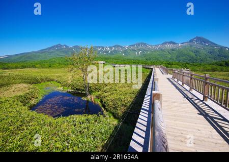 Shiretoko Five Lakes – erhöhter Fußweg und Shiretoko Gebirgskette Stockfoto