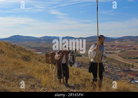 Consuegra, Vertretung von Quijote während des Saffron Rose Festivals, Provinz Toledo, Route of Don Quijote, Castilla-La Mancha, Spanien Stockfoto
