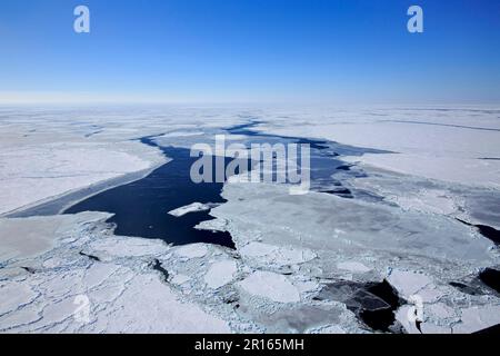 Pack Eis, im Winter, Magdalen Inseln, Golf von St. Lawrence, Quebec, Kanada, Nordamerika Stockfoto