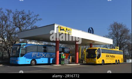 Fernbusse, Berlin, Deutschland Stockfoto