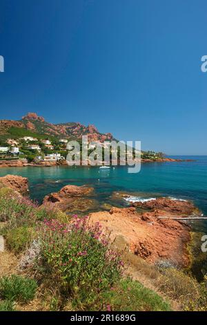 Esterel Mountains, Plage d'Antheor Beach und Cap Roux, Französische Riviera, Provence-Alpes-Cote d'Azur, Frankreich Stockfoto