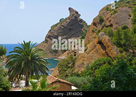 Calanque de Figuerolles, La Ciotat, Bouches du Rhone, Provence Alpes Cote d'Azur, Frankreich Stockfoto