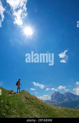 Hiking on the Seceda with view of Langkofel and Plattkofel, Val Gardena, Dolomites, Trentino South Tyrol, Italy Stock Photo