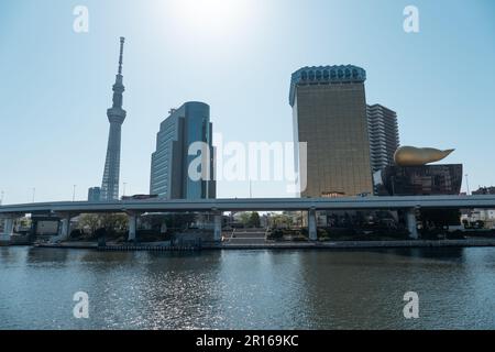 TOKIO, JAPAN - 9. APRIL 2023: Skyline-Gebäude und Tokyo Skytree Tower, berühmtes Wahrzeichen in der Nähe des Flusses Sumida, Blick vom Asakusa-Viertel in Tokio, Japan Stockfoto