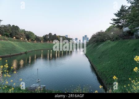 TOKIO, JAPAN - 9. APRIL 2023: Chidorigafuchi-Park am Abend im Chiyoda-Viertel Stockfoto