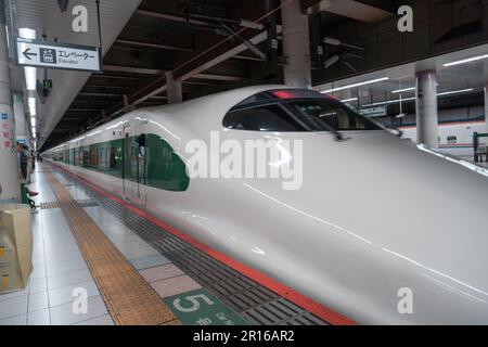 TOKIO, JAPAN - 10. APRIL 2023: shinkansen der E5-Serie auf einem Yamabiko-Service nach Sendai am Bahnhof Ueno. Stockfoto