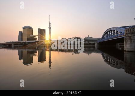 Der Sonnenaufgang am Tokyo Skytree von der Sumidagawa Terrace aus gesehen Stockfoto