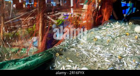 Fischnetz in Fischzuchtbetrieben, die den Fang des Tages in thailand sammeln Stockfoto