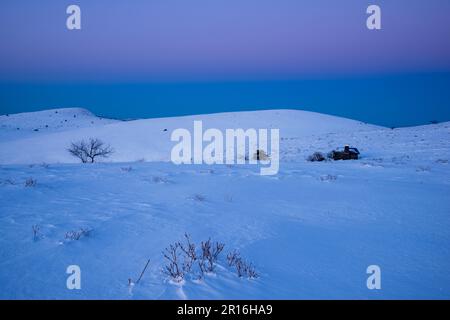 Das Hochland des Mount Kirigamine bei Twilght Stockfoto