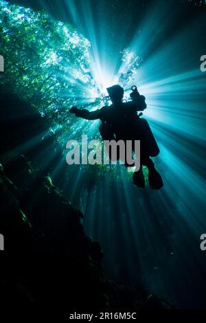 Ein Taucher in einem Taucheranzug und einem Sauerstofftank, der unter Wasser schwimmt Stockfoto