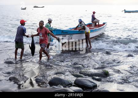 Lokale Fischer sammeln täglich Fang, kleine Thunfische von einem Holzboot in Tarrafal de Monte Trigo auf der Insel Santo Antao in Cabo verde, Afrika Stockfoto