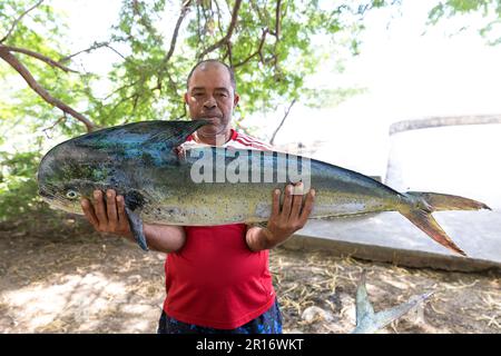 Fischer halten wunderschöne dorado-Fische im Schatten eines Baumes in einem kleinen Fischerdorf tarrafal de monte trigo auf der insel santo antao, cabo verde Stockfoto